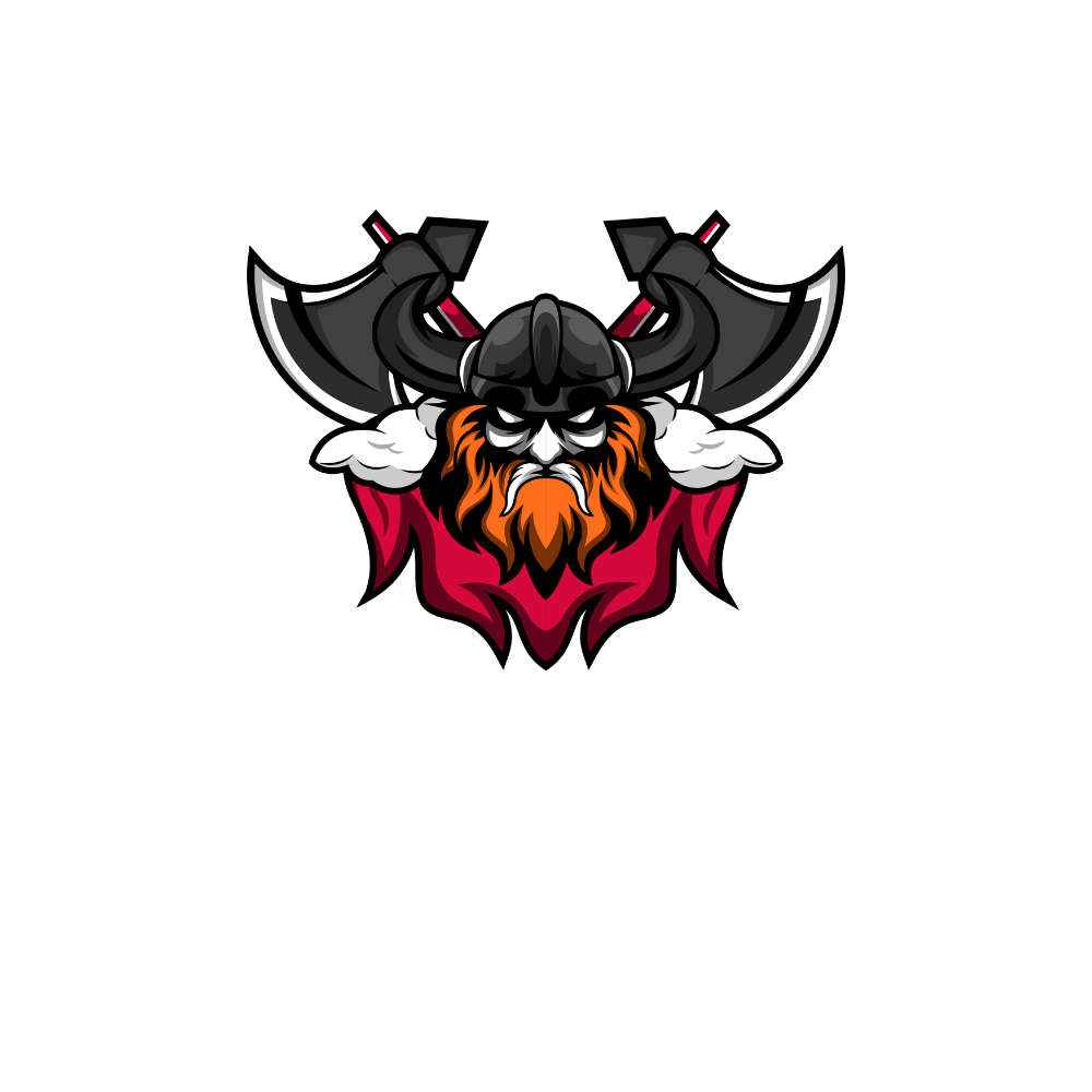 Viking Security Logo